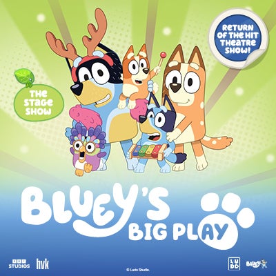 More Info for Bluey’s Big Play
